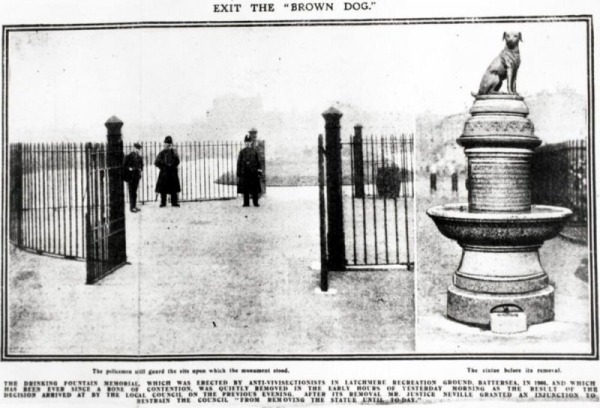 Статуя коричневого пса, спровоцировавшего масштабные беспорядки в Лондоне Статуя коричневого пса, спровоцировавшего масштабные беспорядки в Лондоне