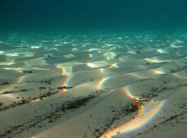 Удивительные факты об океане, которые стоит знать