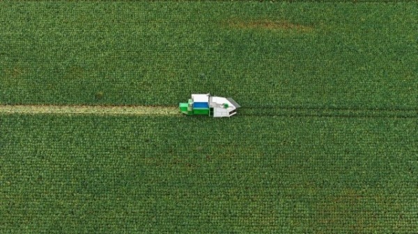 Взгляд с высоты: пейзажи и ландшафты, раскрывающие мир с новой перспективы (12 фото)