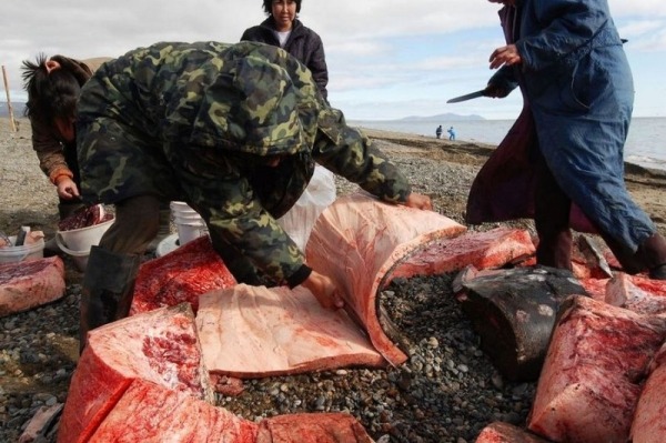 Некоторые национальные блюда жителей Севера