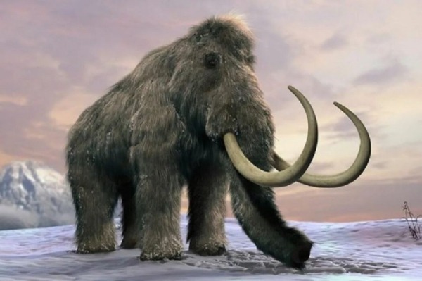 Эволюции вопреки