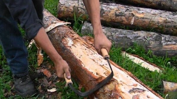 Почему старинные срубы стояли столетия, а современные порой гниют за годы Почему старинные срубы стояли столетия, а современные порой гниют за годы