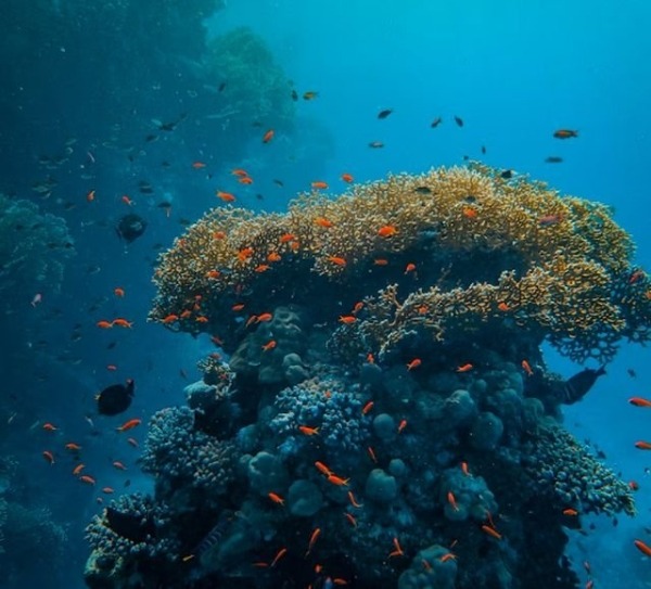 Удивительные факты об океане, которые стоит знать