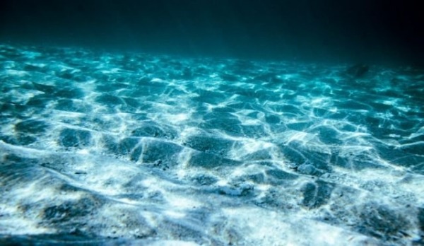 Удивительные факты об океане, которые стоит знать