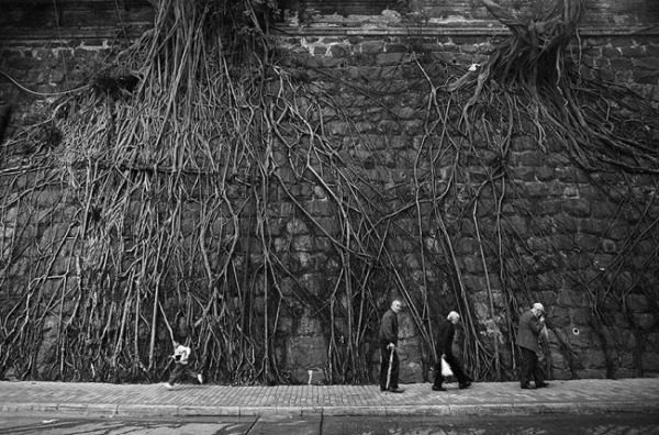 Безграничная сила природы (25 фото) Безграничная сила природы (25 фото)