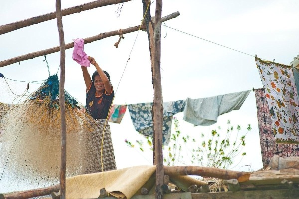 dikovinnoe-plemja-917fa14