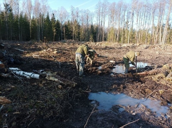 Пропавшие без вести: как ищут тех, кому не суждено было дожить до Победы (8 фото)
