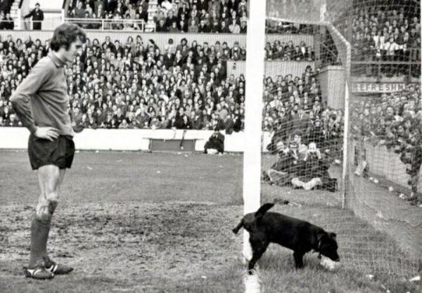 Разные исторические фотографии