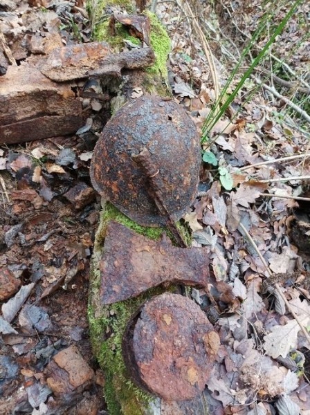 Пропавшие без вести: как ищут тех, кому не суждено было дожить до Победы (8 фото)