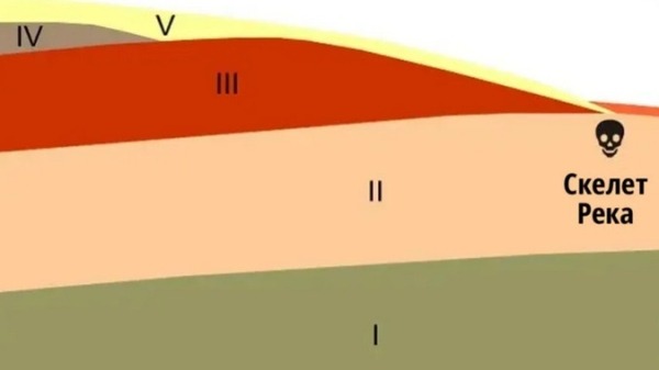 Таинственный скелет Ганса Река, который пролежал в земле миллион лет Таинственный скелет Ганса Река, который пролежал в земле миллион лет