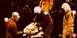 Самое опасное исследование британских ученых: операция «Вегетарианец» Самое опасное исследование британских ученых: операция «Вегетарианец»