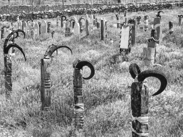 Разные исторические фотографии