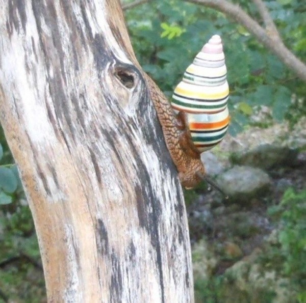 15 интересных изображений для любознательных 15 интересных изображений для любознательных