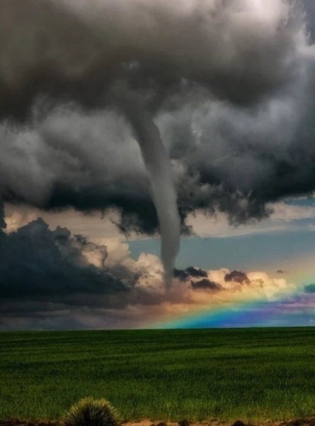 15 интересных изображений для любознательных 15 интересных изображений для любознательных