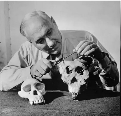 Таинственный скелет Ганса Река, который пролежал в земле миллион лет Таинственный скелет Ганса Река, который пролежал в земле миллион лет