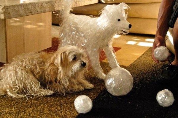 Победители конкурса на создание лучшей фигурки из скотча – 2012 (14 фото)