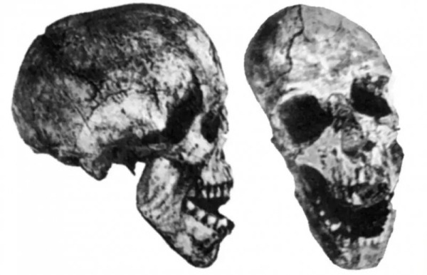 Таинственный скелет Ганса Река, который пролежал в земле миллион лет Таинственный скелет Ганса Река, который пролежал в земле миллион лет
