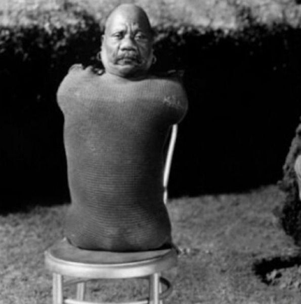 Человек-гусеница Человек-гусеница