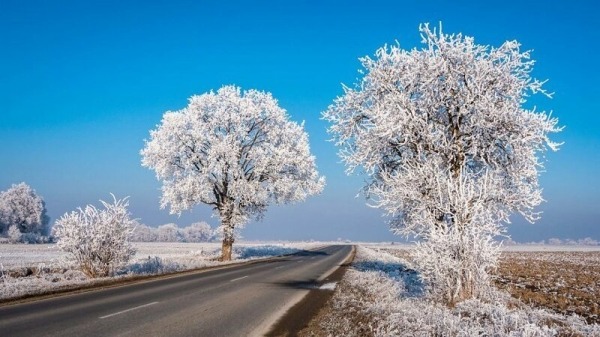 Завораживающая природа и старые традиции Румынии Завораживающая природа и старые традиции Румынии
