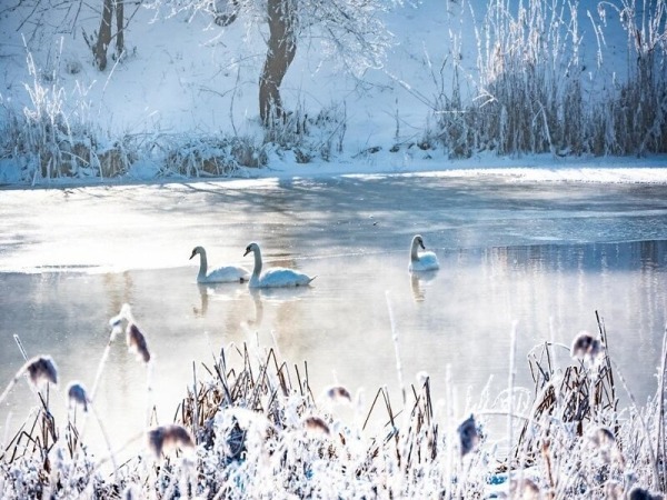 Завораживающая природа и старые традиции Румынии Завораживающая природа и старые традиции Румынии