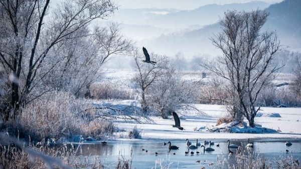 Завораживающая природа и старые традиции Румынии Завораживающая природа и старые традиции Румынии