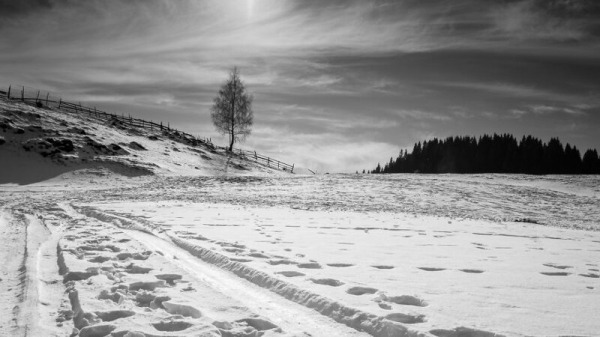 Завораживающая природа и старые традиции Румынии Завораживающая природа и старые традиции Румынии