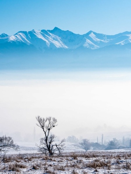 Завораживающая природа и старые традиции Румынии Завораживающая природа и старые традиции Румынии