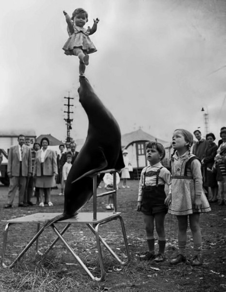 20 фото, показывающих  каким странным мир был раньше (21 фото)