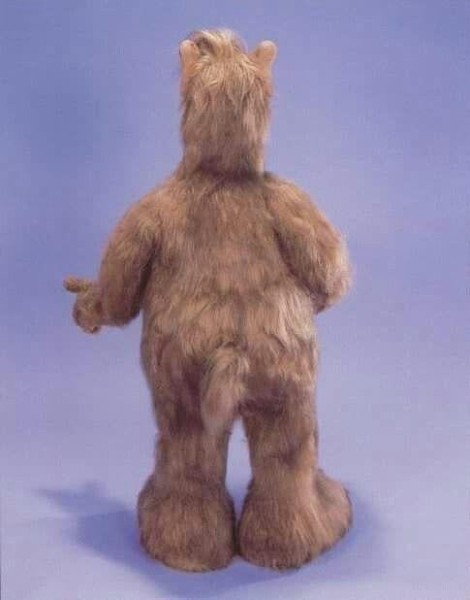 12 удивительных фотографий, в которые как-то даже сложно поверить