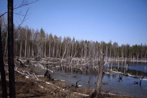 Мистические места в Москве (6 фото) Мистические места в Москве (6 фото)