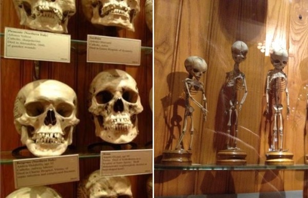 В этих музеях точно не до скуки: необычные места, которые точно стоит посетить