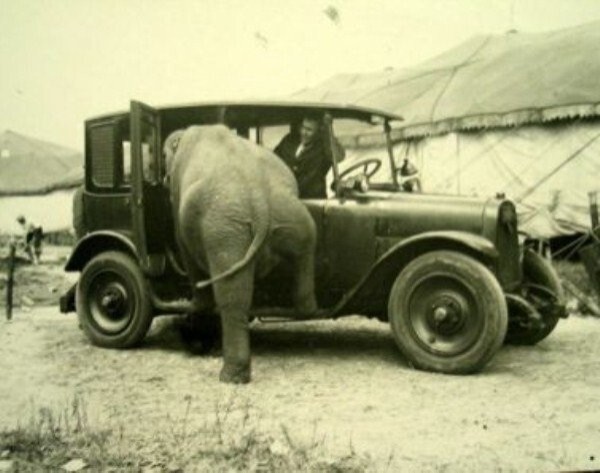 Необычные старые снимки (17 фото) Необычные старые снимки (17 фото)