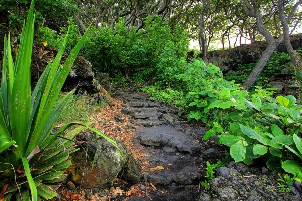 Сады острова Мауи
