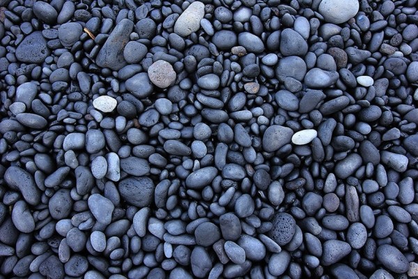 Сады острова Мауи