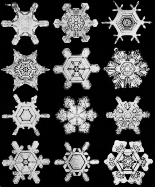 05b957e268a2b525de2dd453ba49c8a4