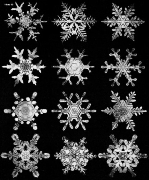 2c91864fa0cf2e00e1f4ac6fb60edef3