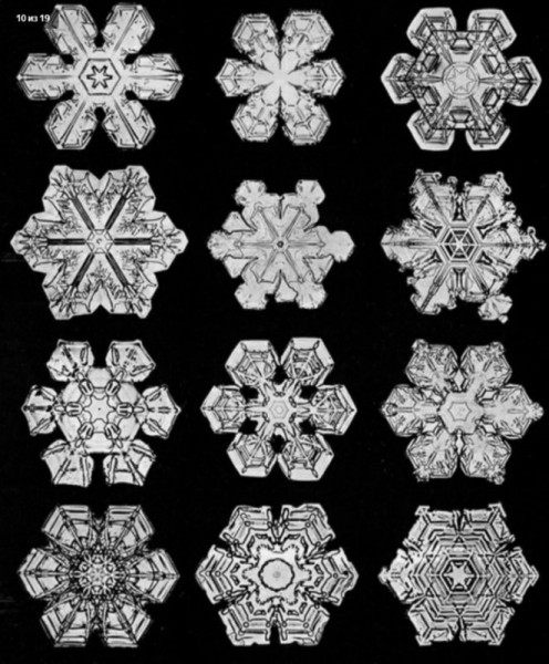 5082a3a0ae326b17e00ec6ab804b61ac