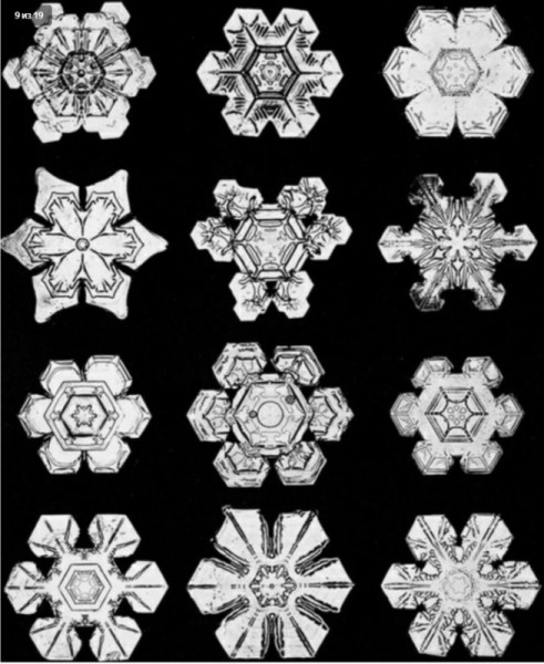 7a39f932e6691b480b8383b0a1c25bd4