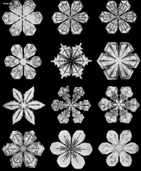 8010041b28ea0da61b24a58751860c5d