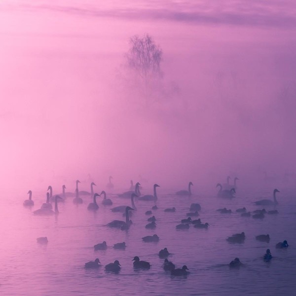 neverojatno-krasivye-fotografii-posle-prosmotra-kotoryh-vam-nepremenno-zahochetsja-na-altaj-9e4d4a3