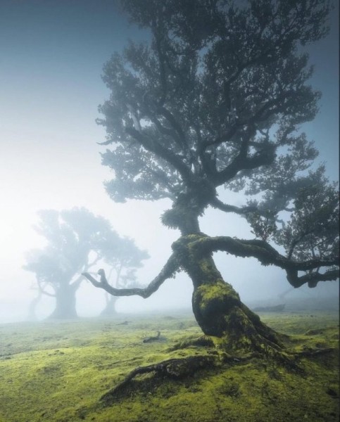 Поразительные и сказочные творения природы