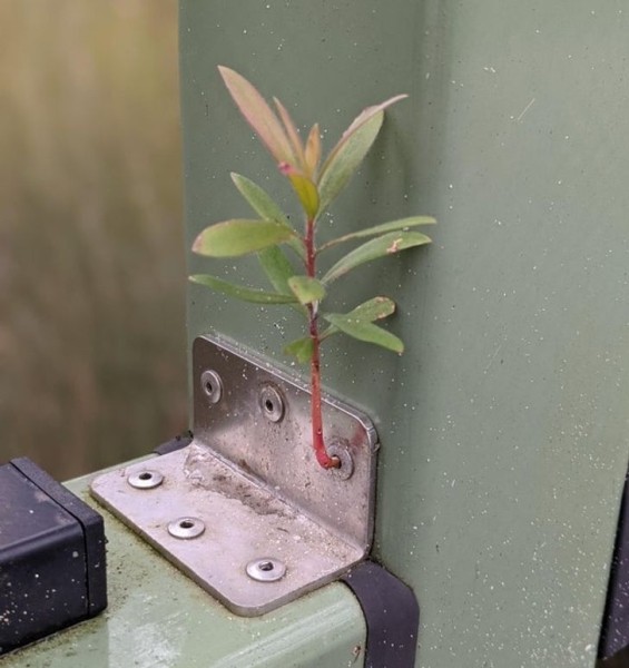 22 удивительных фото, которые не увидишь каждый день