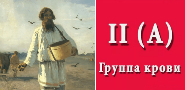Почему II группу крови называют крестьянской: От земледелия до выводов японских кадровиков, и как индейцы сохранили I группу