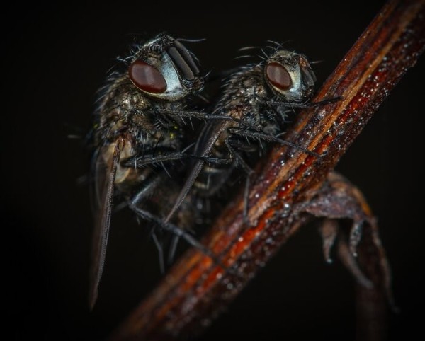 30 неожиданных открытий, которые ждали путешественников в Австралии 30 неожиданных открытий, которые ждали путешественников в Австралии