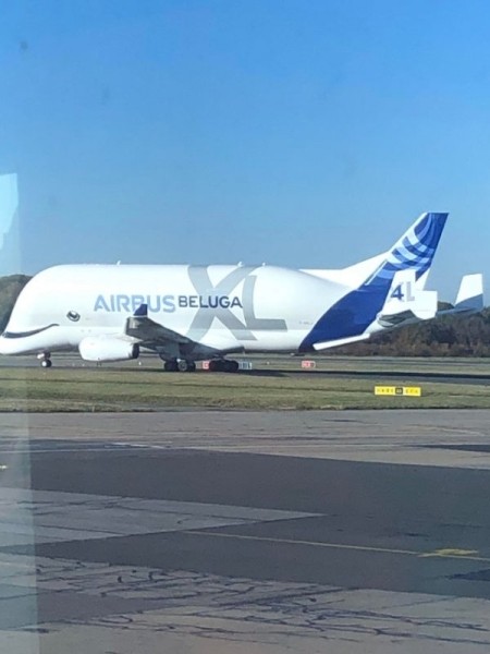 22 удивительных фото, которые не увидишь каждый день