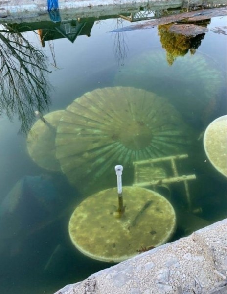 15 жутковатых фото подводных и наводных объектов, которые показывают, как может пугать большая вода 15 жутковатых фото подводных и наводных объектов, которые показывают, как может пугать большая вода