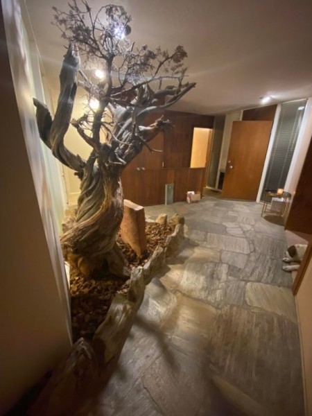 22 удивительных фото, которые не увидишь каждый день