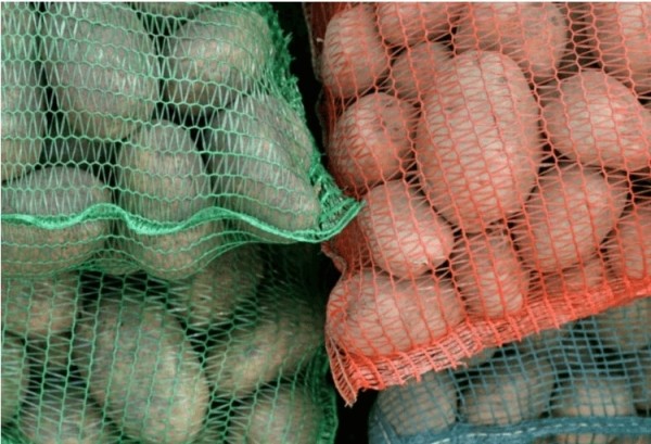 Почему апельсины продают в сетках красного цвета? Почему апельсины продают в сетках красного цвета?