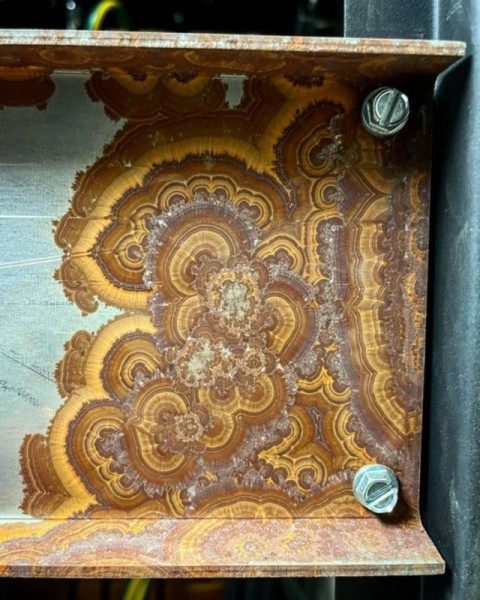 22 удивительных фото, которые не увидишь каждый день