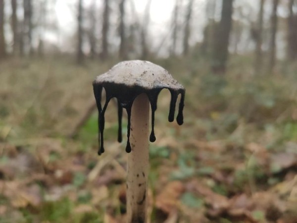 22 удивительных фото, которые не увидишь каждый день